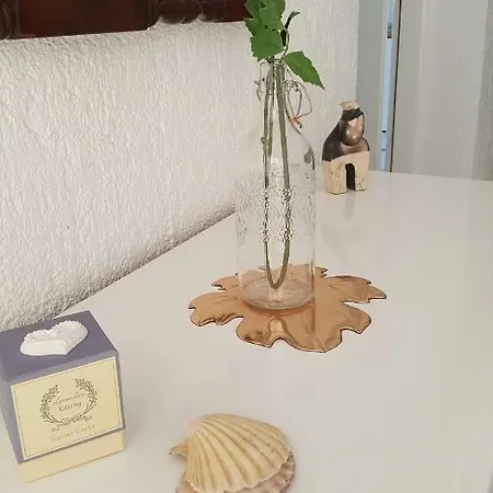 Ivita