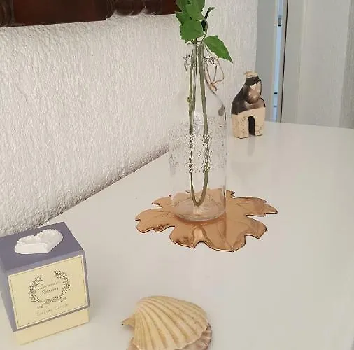 Ivita